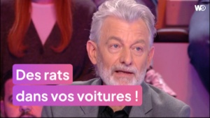 Gilles Verdez évoque les dégradations de véhicules causées par des rats dans l’émission Tout Beau, tout neuf